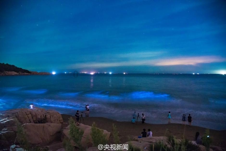 报告:去年旅游业对经济贡献估计为3.3万亿美元