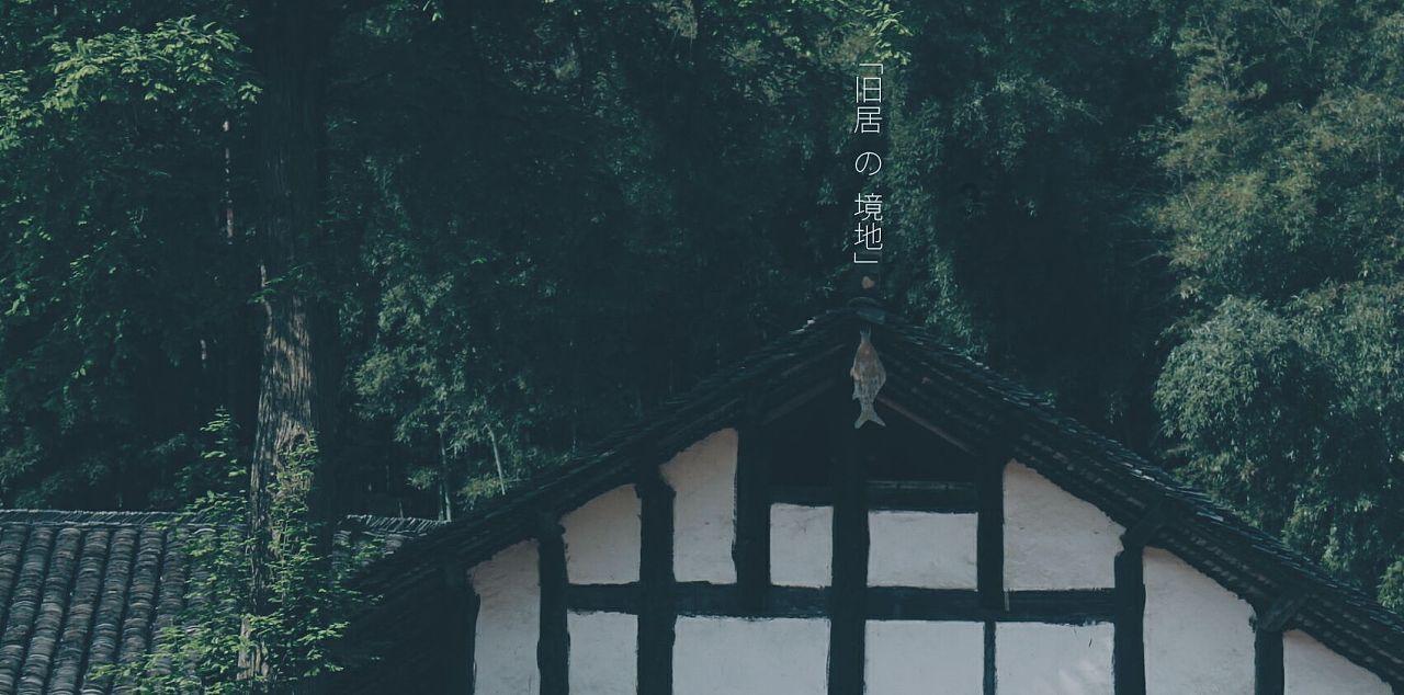 赏金猎人团