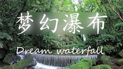 蝴蝶领结