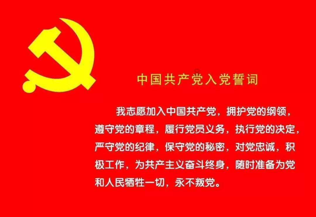 我的矿场