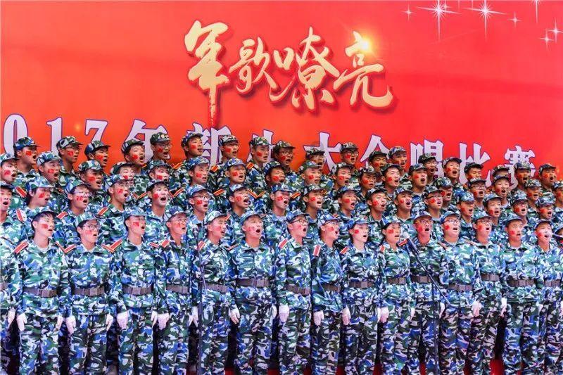 救援大嘴鸟