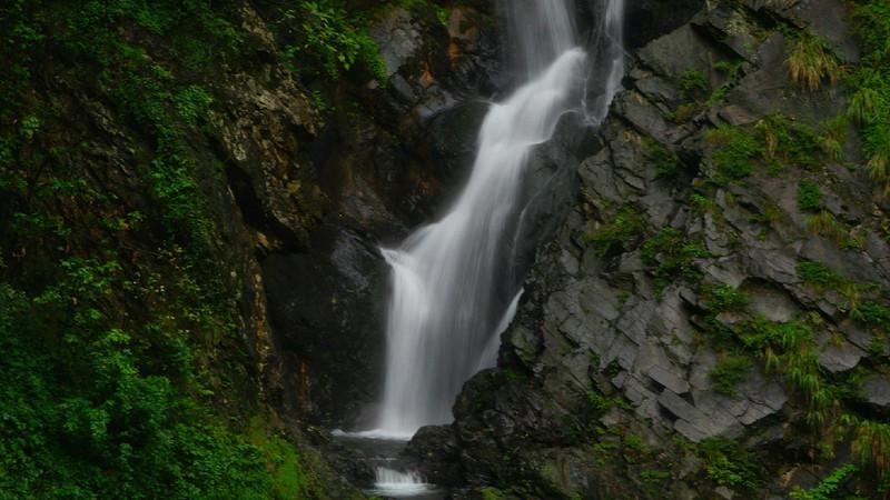 春雨直播app
