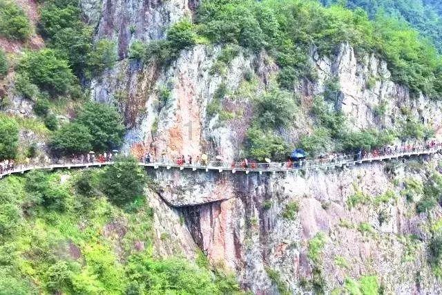 逃离绿色山谷