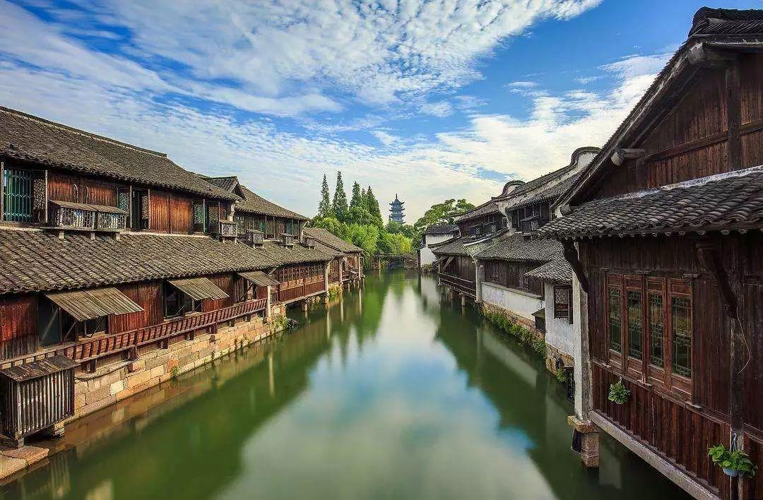 拂堤杨柳醉春烟。这句诗，我仿佛看到了什么画面。