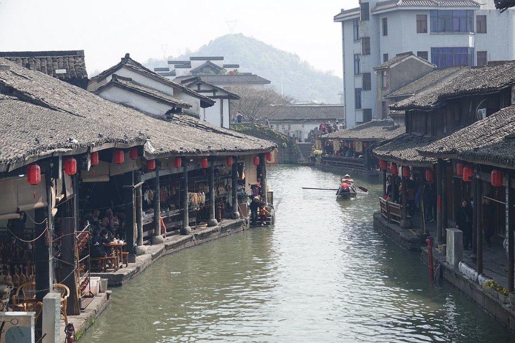 五彩鹦鹉救援
