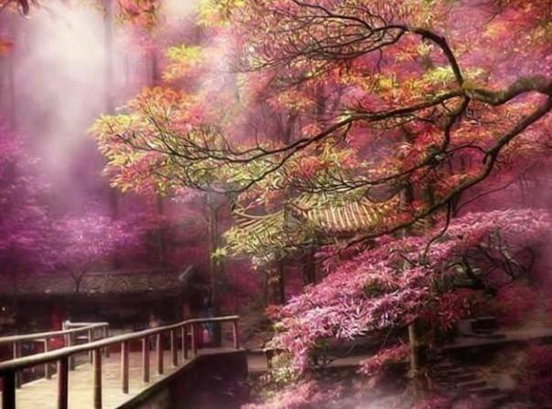 如何对付小三的10大绝招？游戏画面