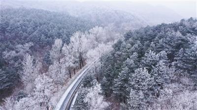 三小只僵尸的游戏时间5